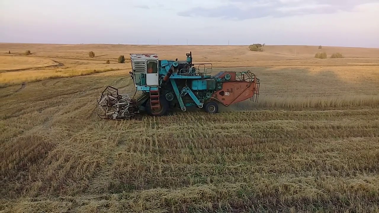 Енисей 1200, уборка 2018