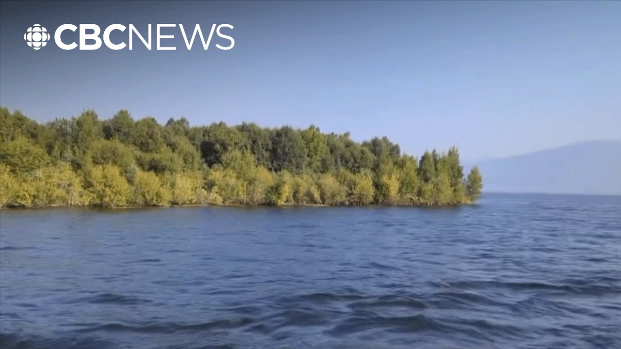 На крупнейшем водохранилище Британской Колумбии таинственным образом появился, а затем исчез остров