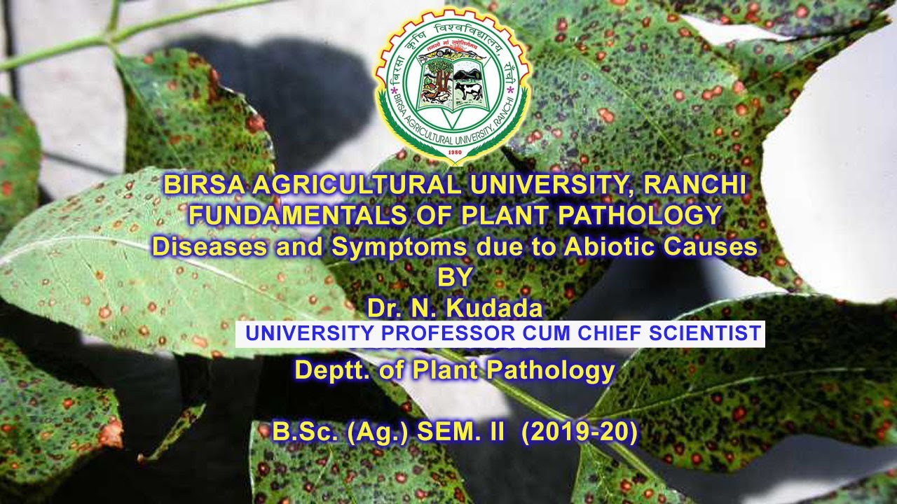 Diseases and Symptoms due to Abiotic Causes ! Dr. N. Kudada
