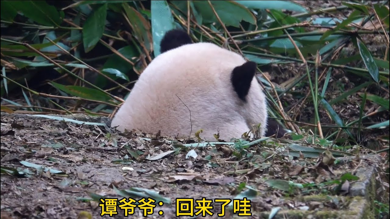 哈哈哈！想按花花大头的赶紧来😂😂