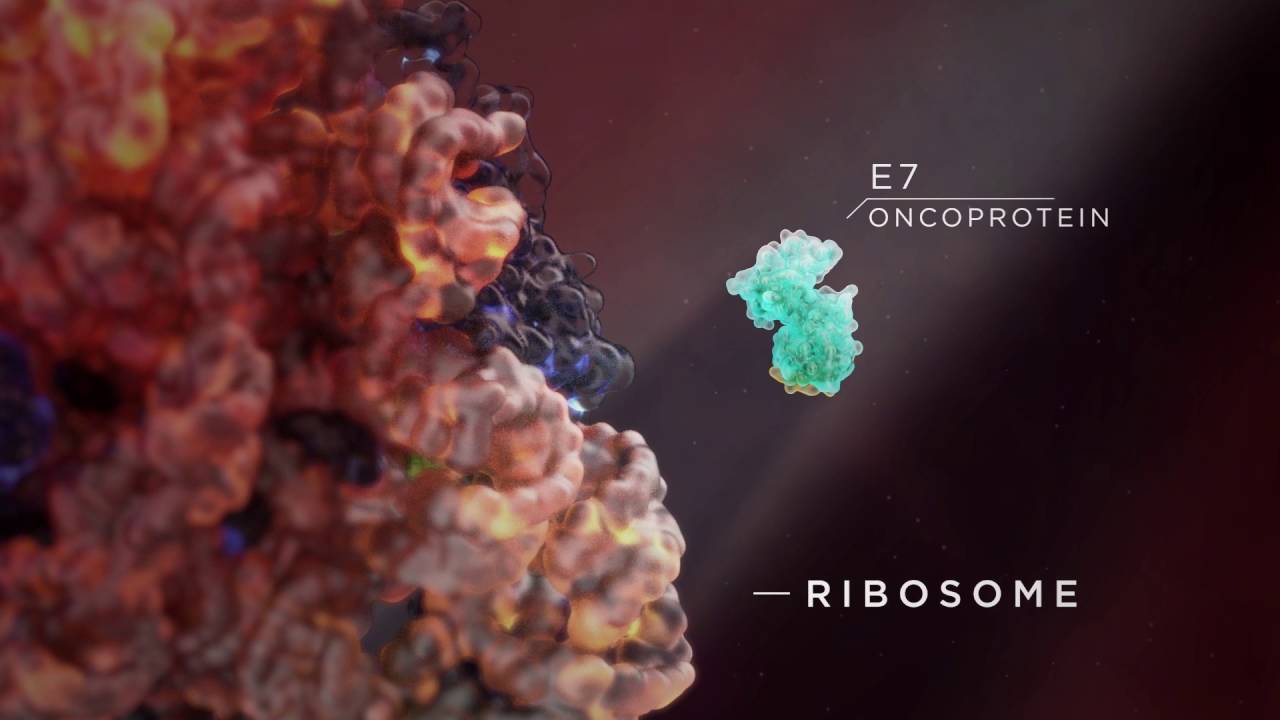 HPV Integration and mRNA Benefits
