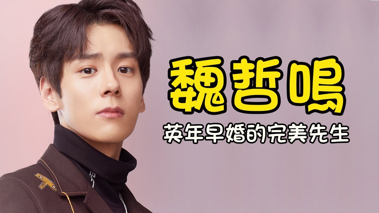 魏哲鳴⭐英年早婚的完美先生 【賀先生的戀戀不忘】【完美先生和差不多小姐 】【山河令 】