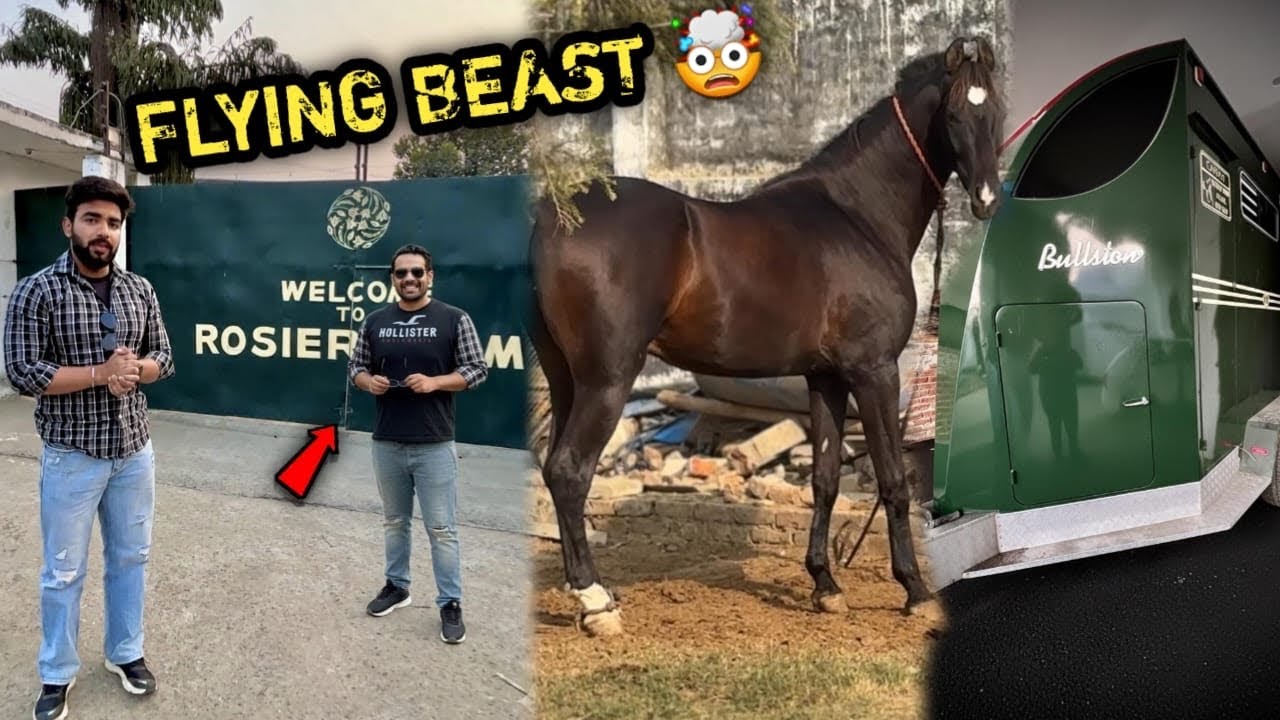 Bullstone Ka Aalishan Trailer Lene Jaa Raha Tha 😳Ye Flying Beast (Gaurav Bhai ) Ki गौशाला Pr Aagya🤩