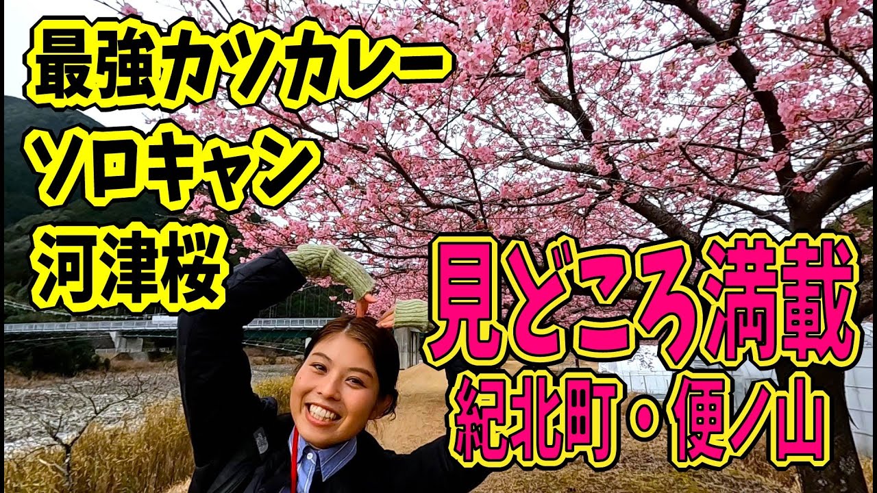 【行楽地を堪能】自然の風景と美味しいカレーin便ノ山