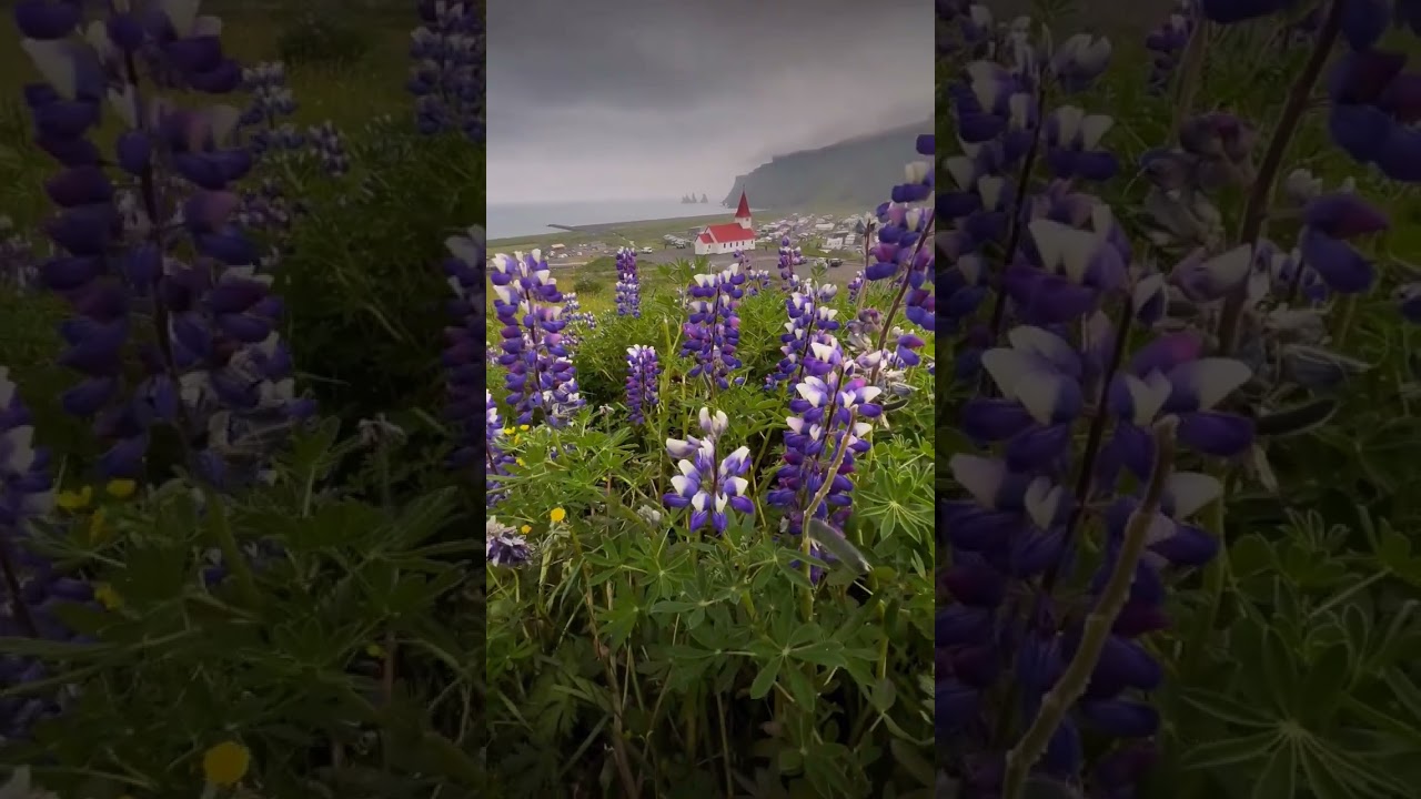 🌿🌧️😮&zwj;💨&hellip; - - - #viral #outplanet #stayandwander #iceland #cabin #icelandexplored #reels #voyage ...