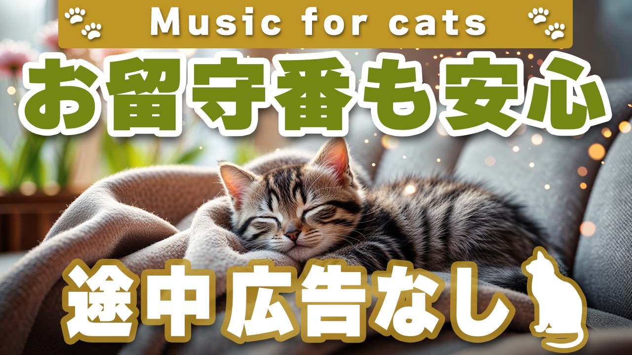 猫が落ち着く音楽｜留守番中も安心できるBGM（12時間・途中広告なし）Relaxing Music for Cats | No Ads | 12 Hours _vol.373