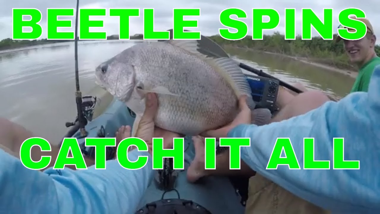 The Lure that Catches it All - The Beetle Spin