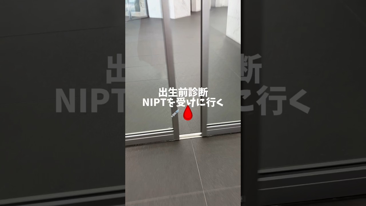 #出生前診断 #nipt #初産婦 #妊娠初期 #妊婦 #妊娠 #マタニティライフ #プレママ #主婦 #遺伝子検査 #初産婦 #妊婦健診 #shorts #short #vlog