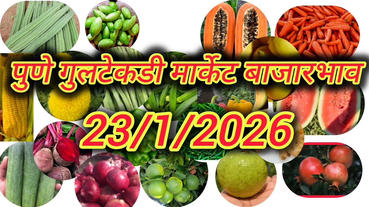 23/1/2026 पुणे गुलटेकडी मार्केट चे बाजारभाव #बाजारभाव #बाजारसमिती #APMCPUNE