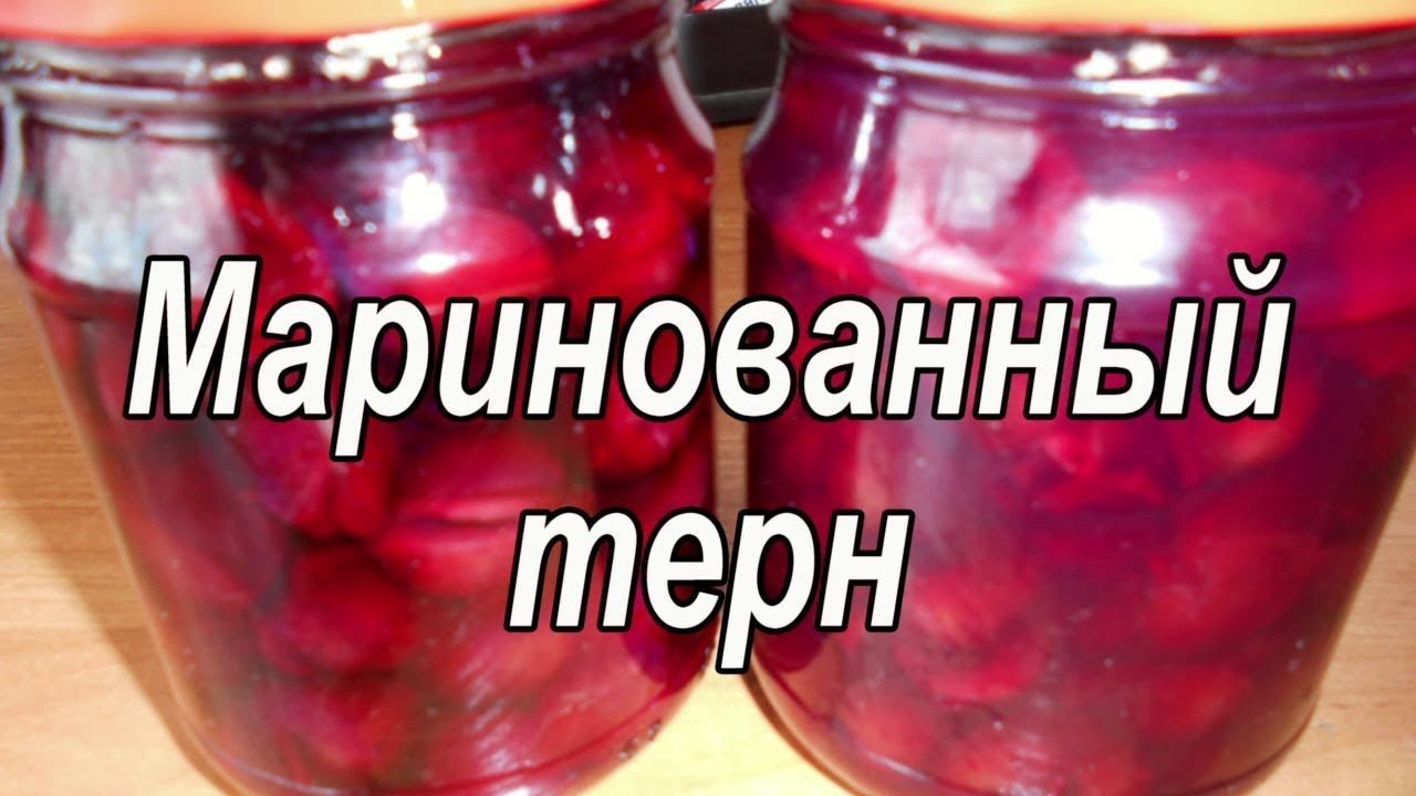 Маринованный терн, как ОЛИВКИ! Просто вкусно!