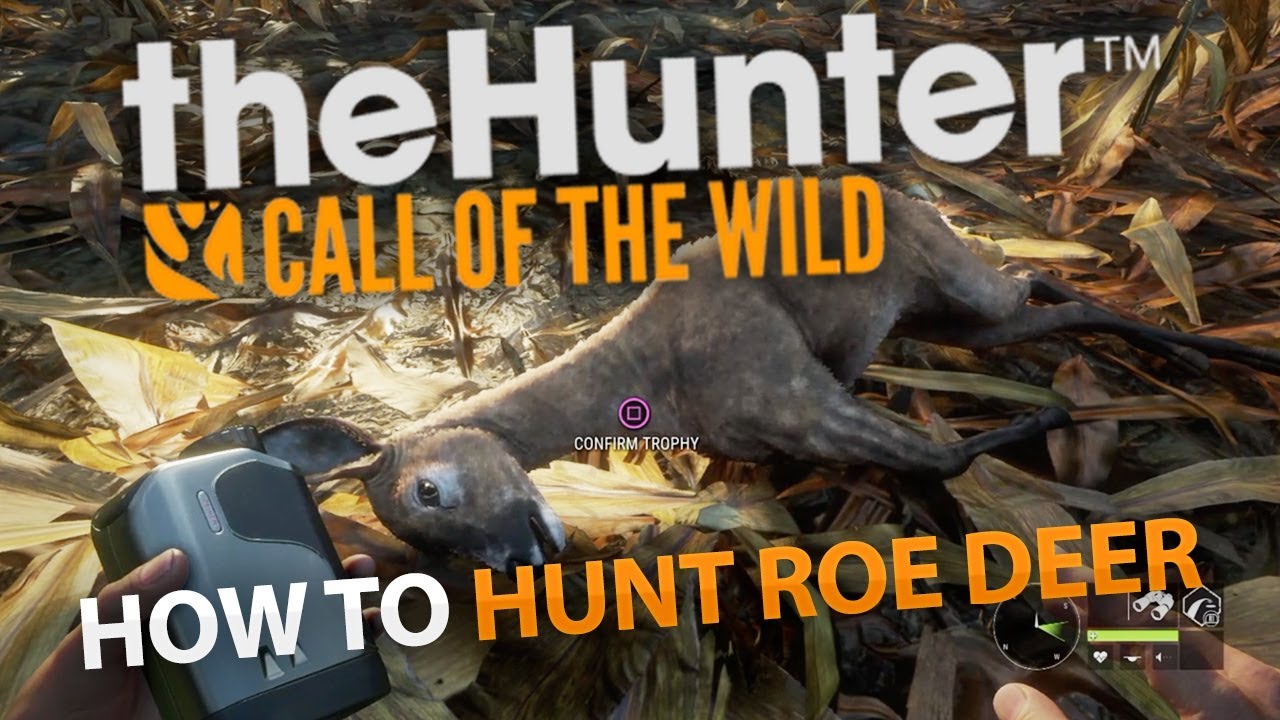 HOW TO HUNT ROE DEER [NEW] | The Hunter Call of the Wild