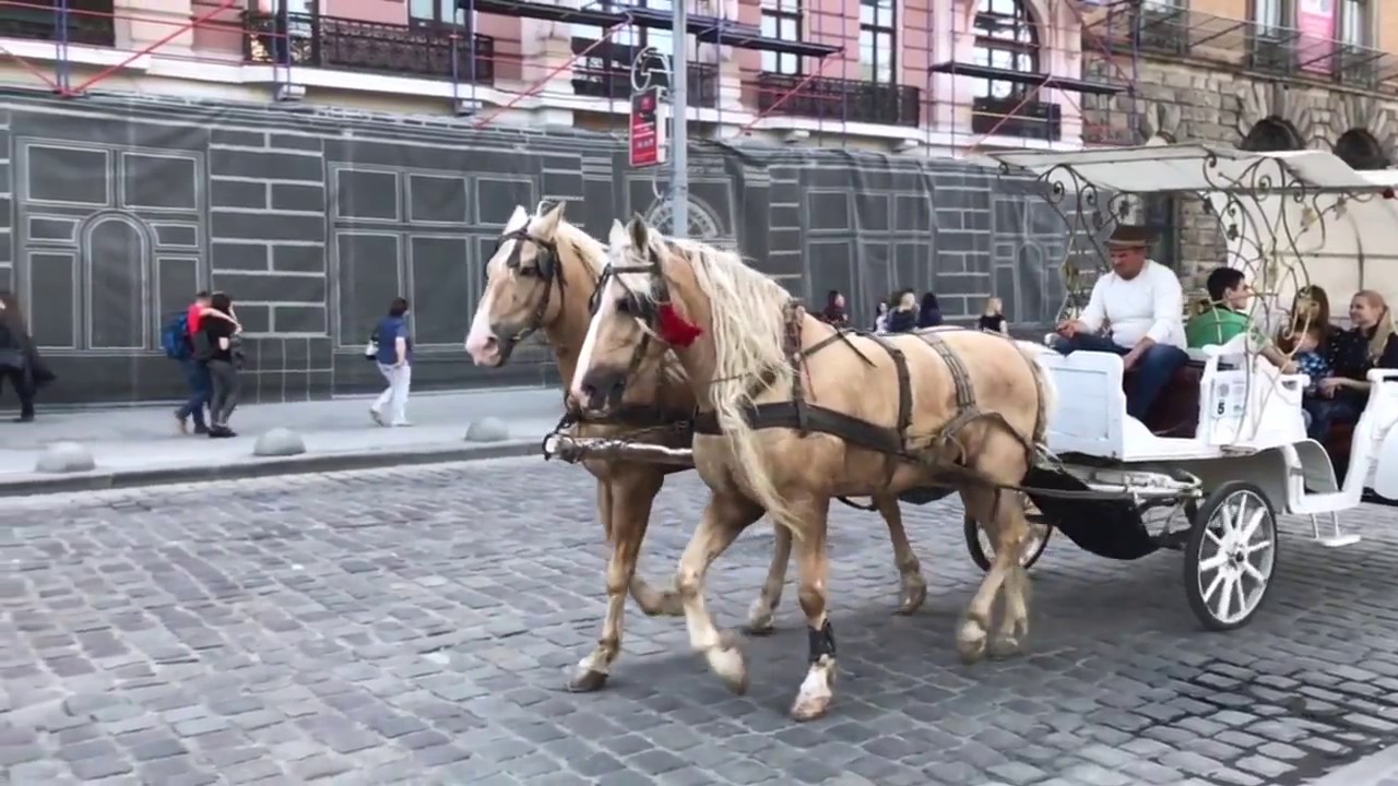 Lviv 2017