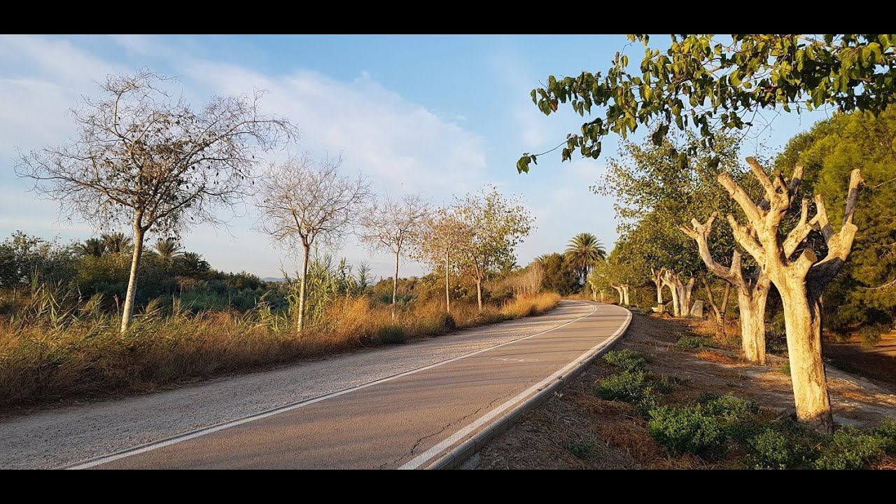 El río Segura a su paso por Orihuela- Septiembre 2025