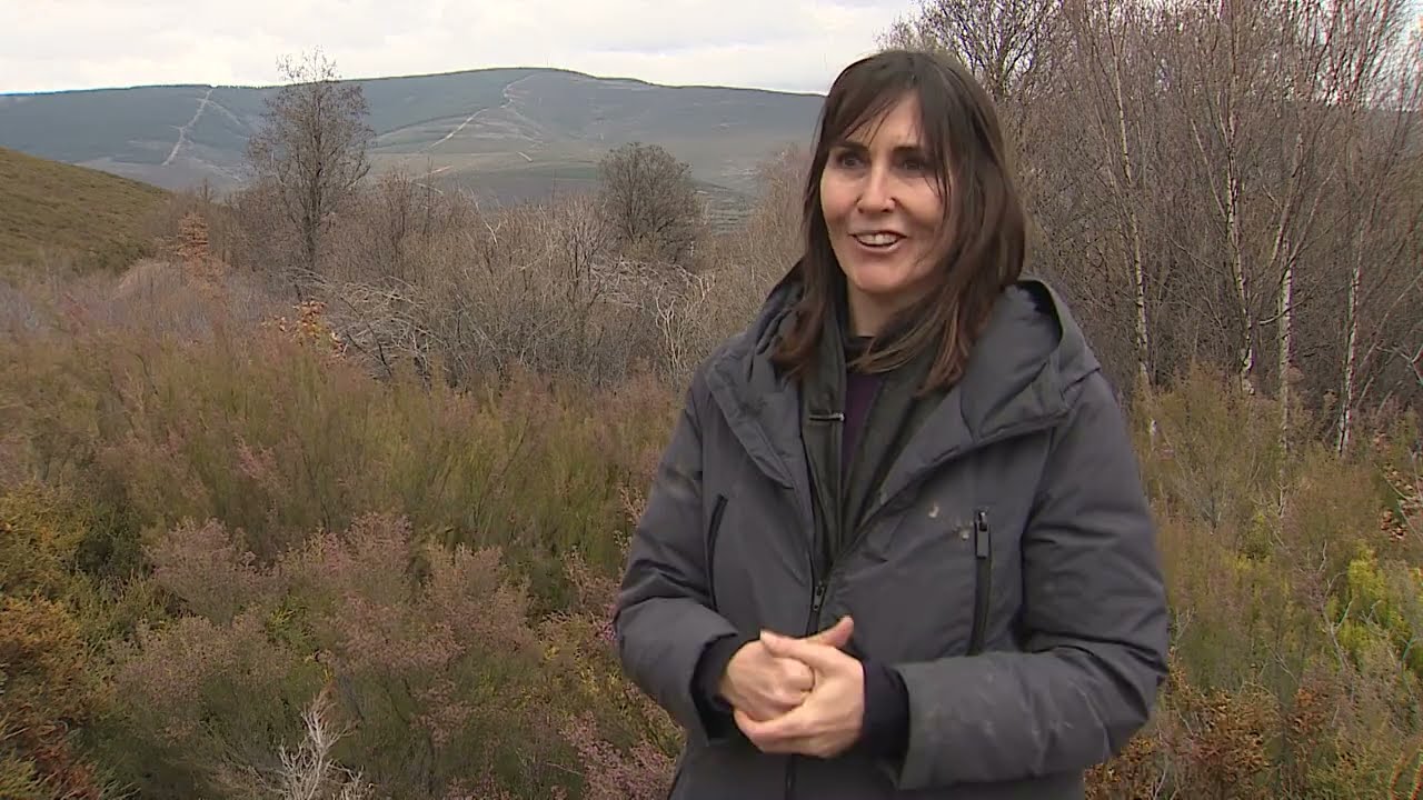 La restauración forestal, vía para impulsar la declaración de parque natural