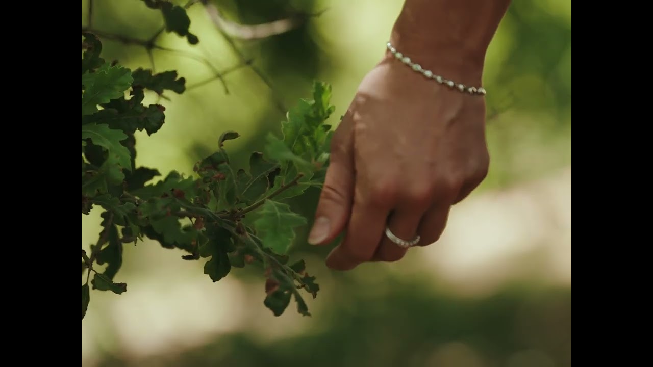 Milford by UH Projects – Feeling