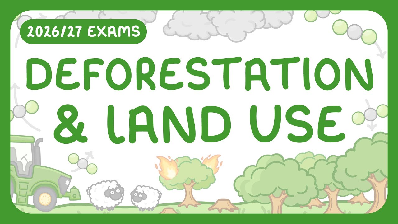 GCSE Biology -  Deforestation & Land Use (2026/27 exams)