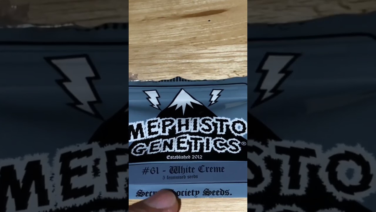 Mephisto Genetics: Seed Collection Video #seed #collection #video #mephisto #genetics #seedbanking
