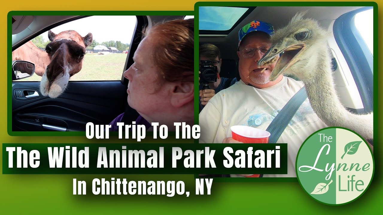 Visiting The Wild Animal Park, Chittenango, NY