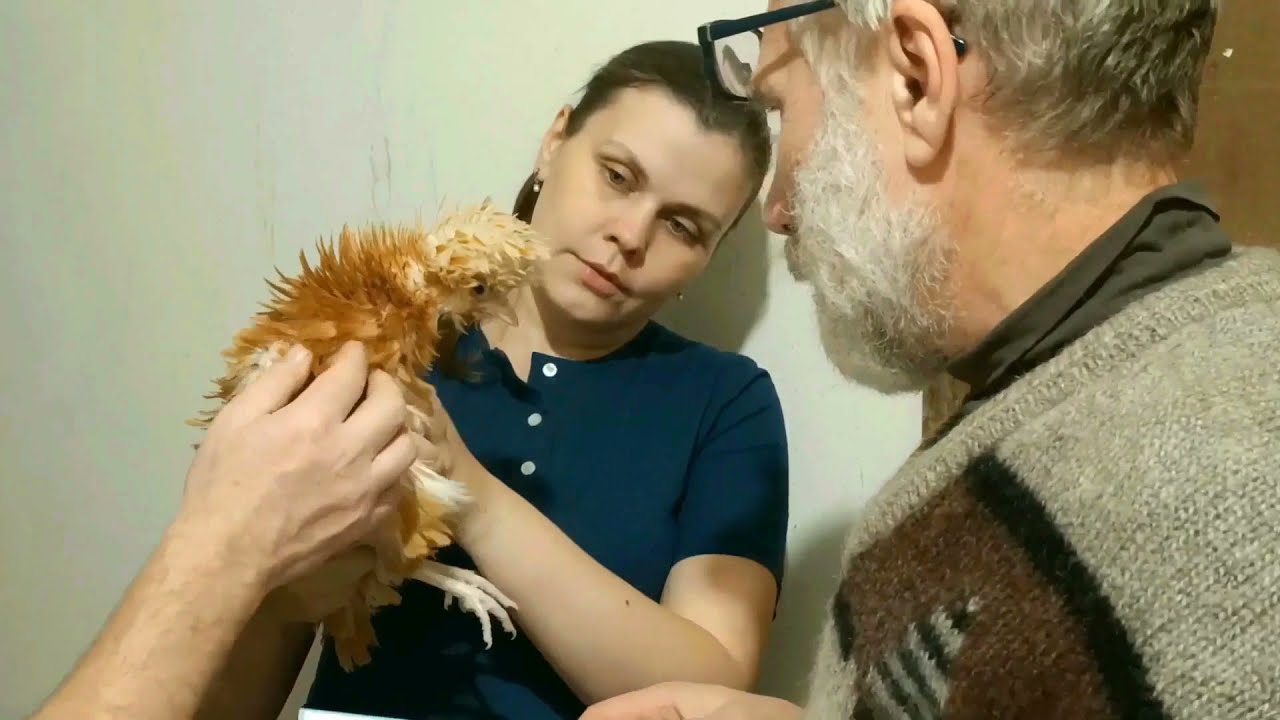 А.Б. Вахрамеев в гостях у Дарьин двор