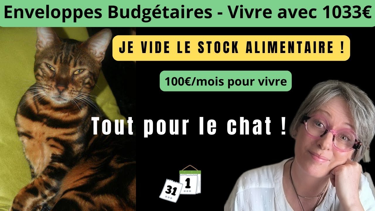 Restriction 🛑 Budget 25 € par semaine, modification dépenses chat 🐱 + élevées ! 100€ pour le mois !!