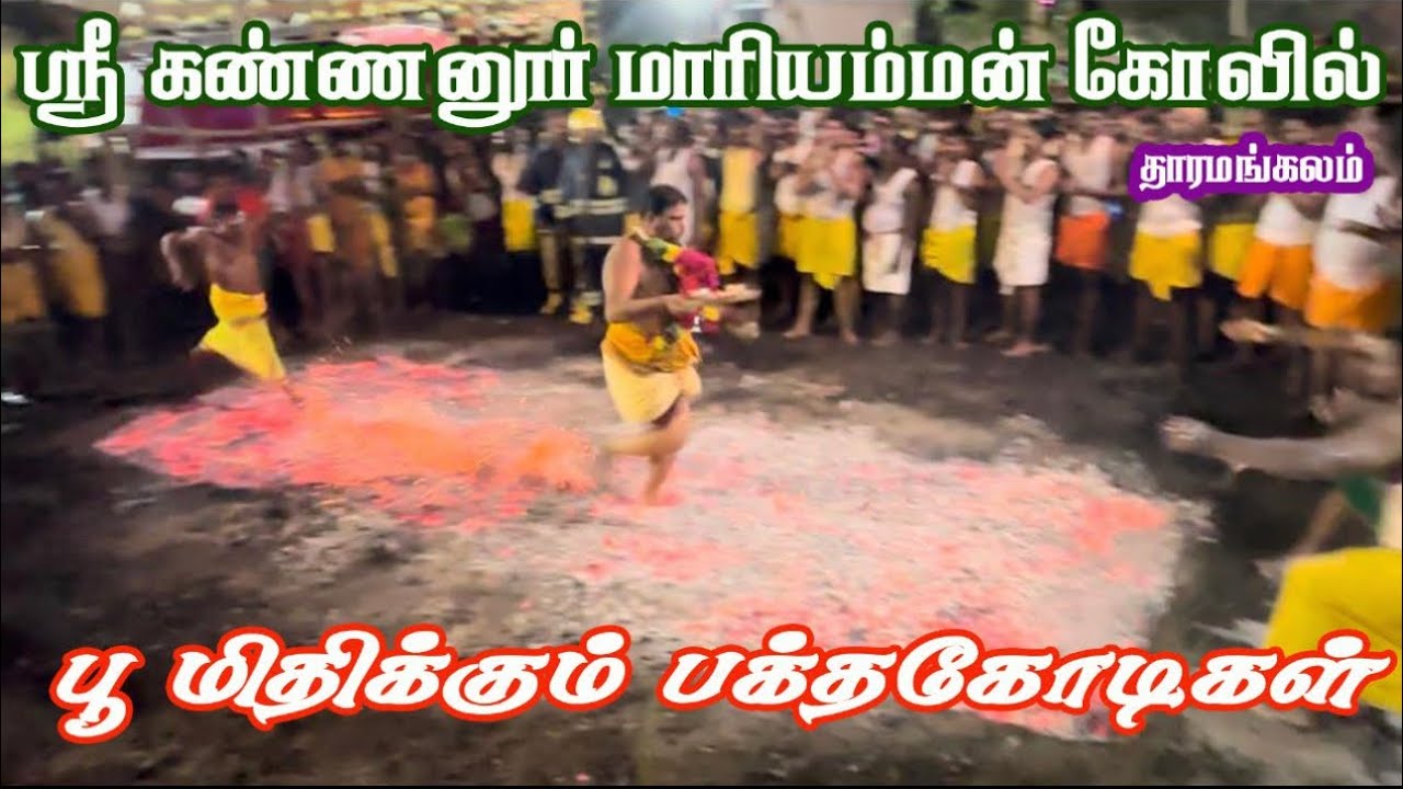 தாரமங்கலம் அருள்மிகு ஶ்ரீ கண்ணனூர் மாரியம்மன் கோவில் திருவிழாவில் பூ மிதிக்கும் பக்தர்கள்.🔥🔥🔥🔥🔥
