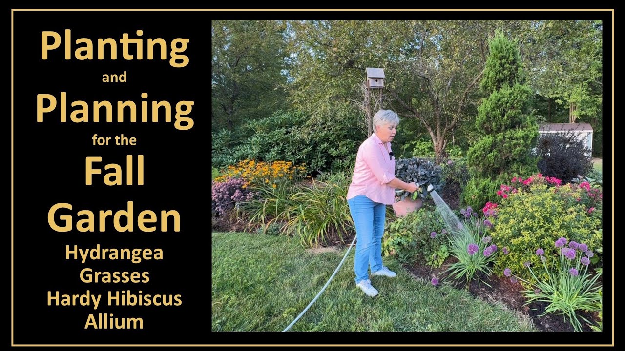 Planning and Planting the Fall Garden: Grasses, Hydrangeas, Hardy Hibiscus, Allium