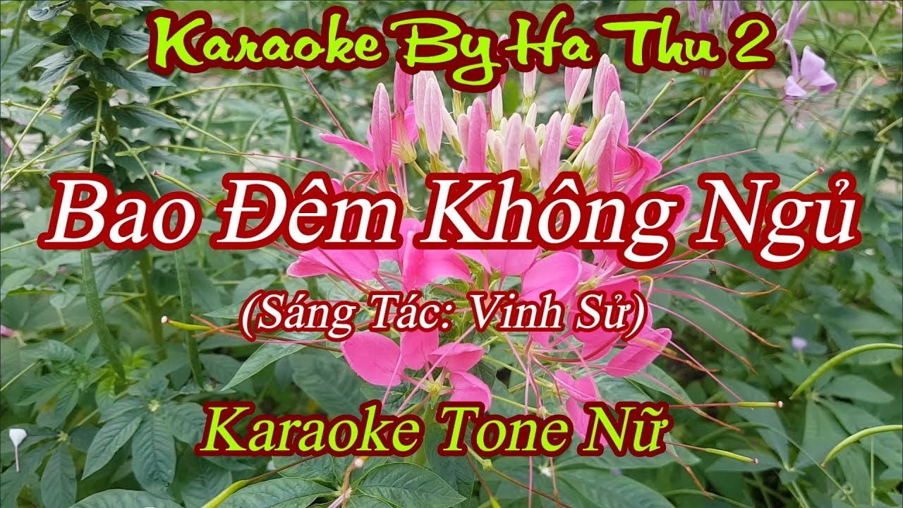 Karaoke Bao Đêm Không Ngủ (ST: Vinh Sử)| Tone Nữ | Karaoke By Ha Thu 2