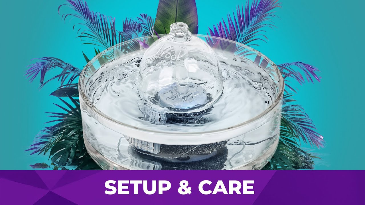 BROOK Glass Pet Fountain &ndash; Setup & Care Guide