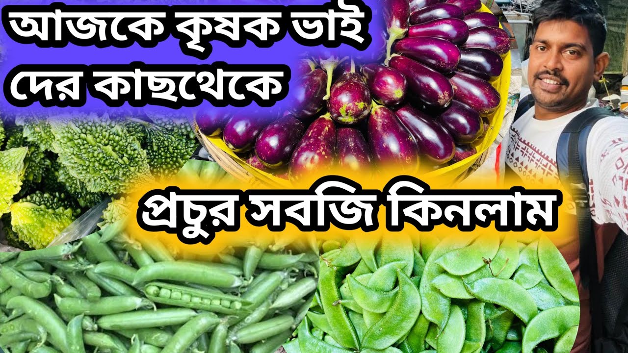 আজকে কৃষক ভাইদের কাছ থেকে একদম কম দামে মাল কিনলাম || wholesale vegetable market #vegitable 