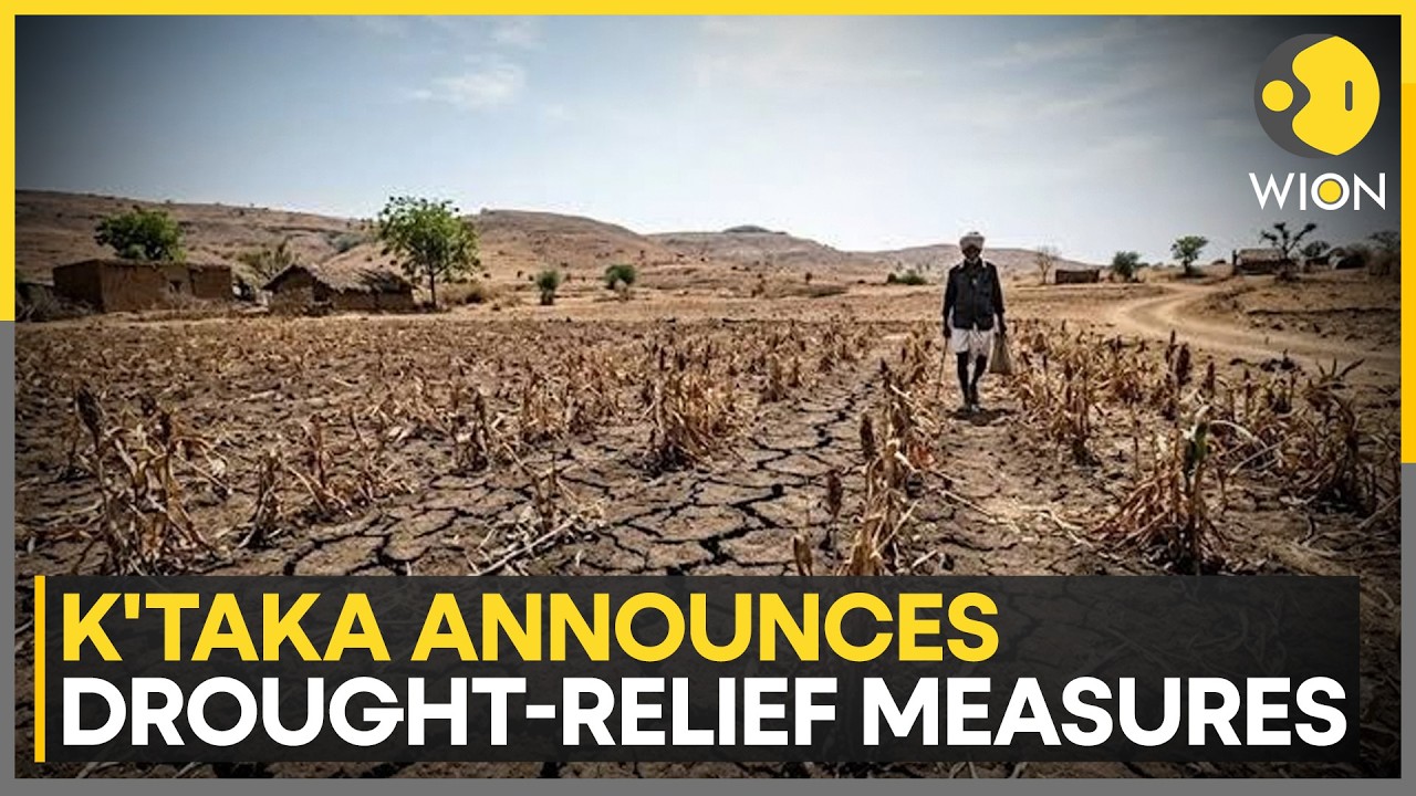 Karnataka: Drought-Hit List To Expand After Ground-Level Verifications | WION News