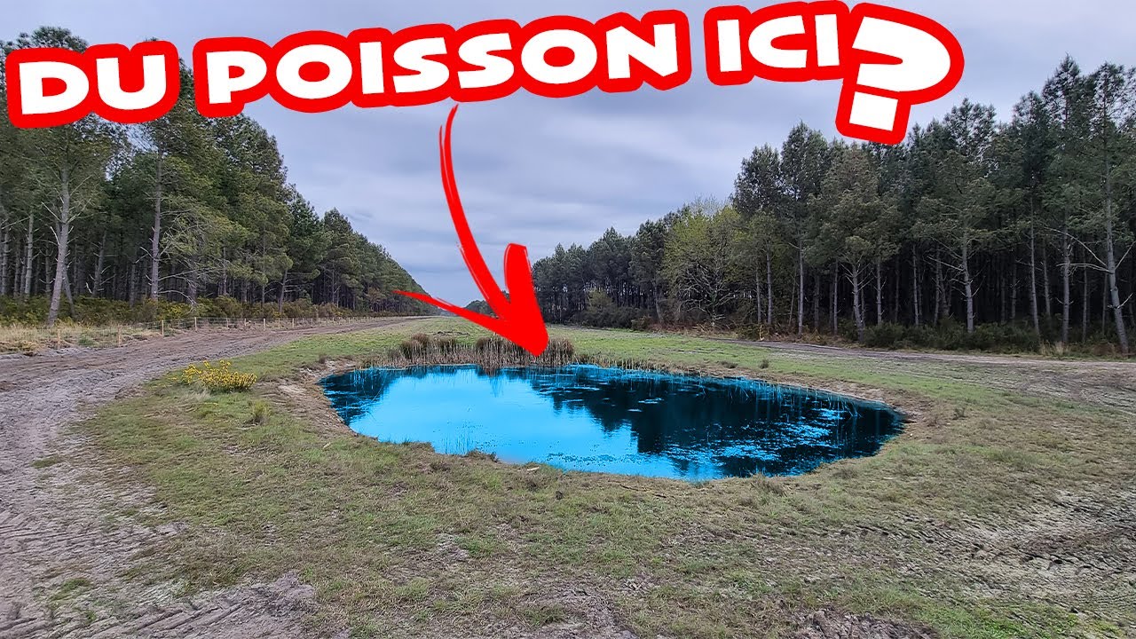 P&Ecirc;CHE INSOLITE : du POISSON dans la RESERVE INCENDIE ? (p&ecirc;che au bouchon)
