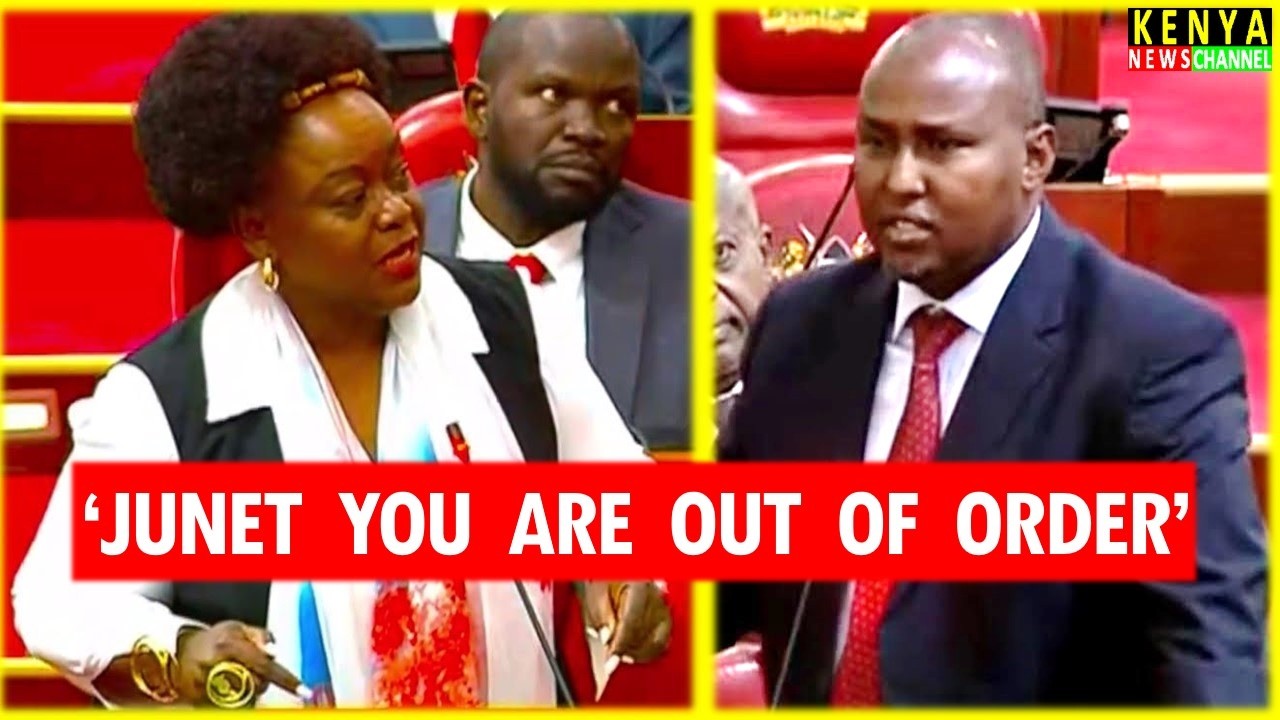HEATED EXCHANGE between Millie Odhiambo & Junet Mohamed in Parliament National Assembly Proceedings