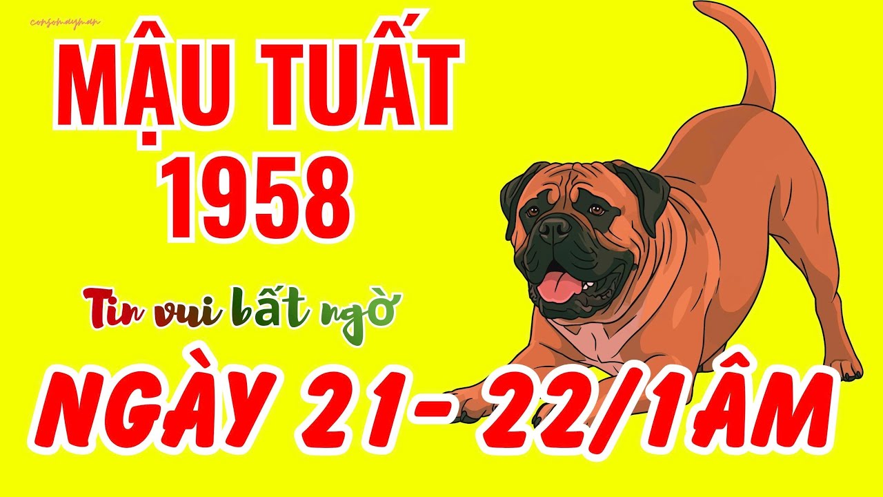 Mậu Tuất 1958 Ngày 21-22 Tháng 1 Âm: Tam Hợp Cục Diện Mang Đến Tin Vui Bất Ngờ