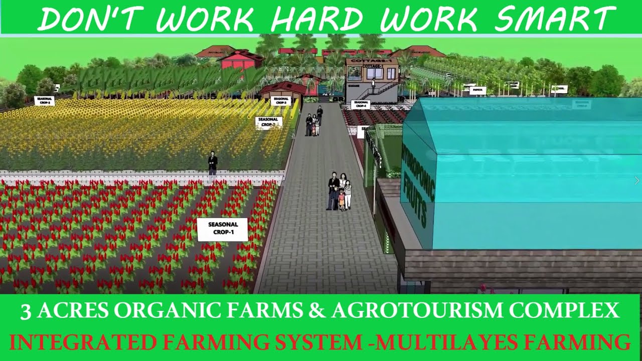 3 Acre organc farms and tourism complex - 3D Sketchup model  Integrated farming system - IFS