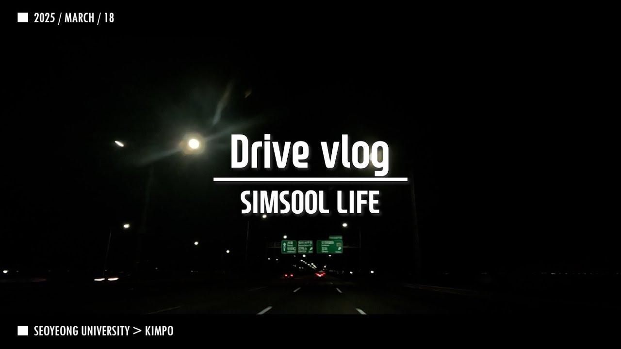 2025 0318 After Work Driver Vlog SIMSOOL Seo Young-dae Scary Freedom