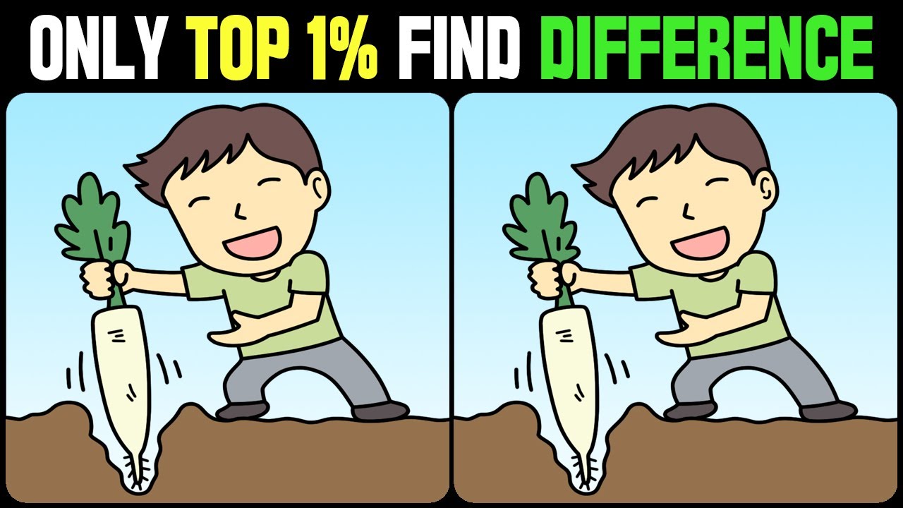 Spot The Difference : Can You Find Them All? [ Find The Difference #319 ]