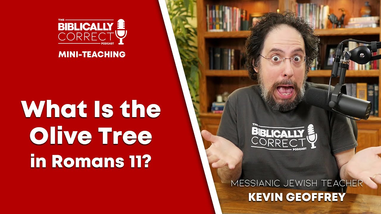 BCP Mini | What Is the Olive Tree in Romans 11? - A Messianic Jew explains