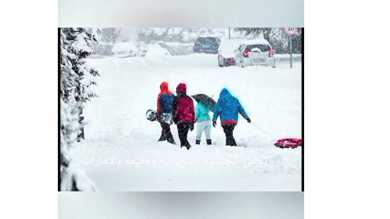 قصة نجاح نارين بيوتي