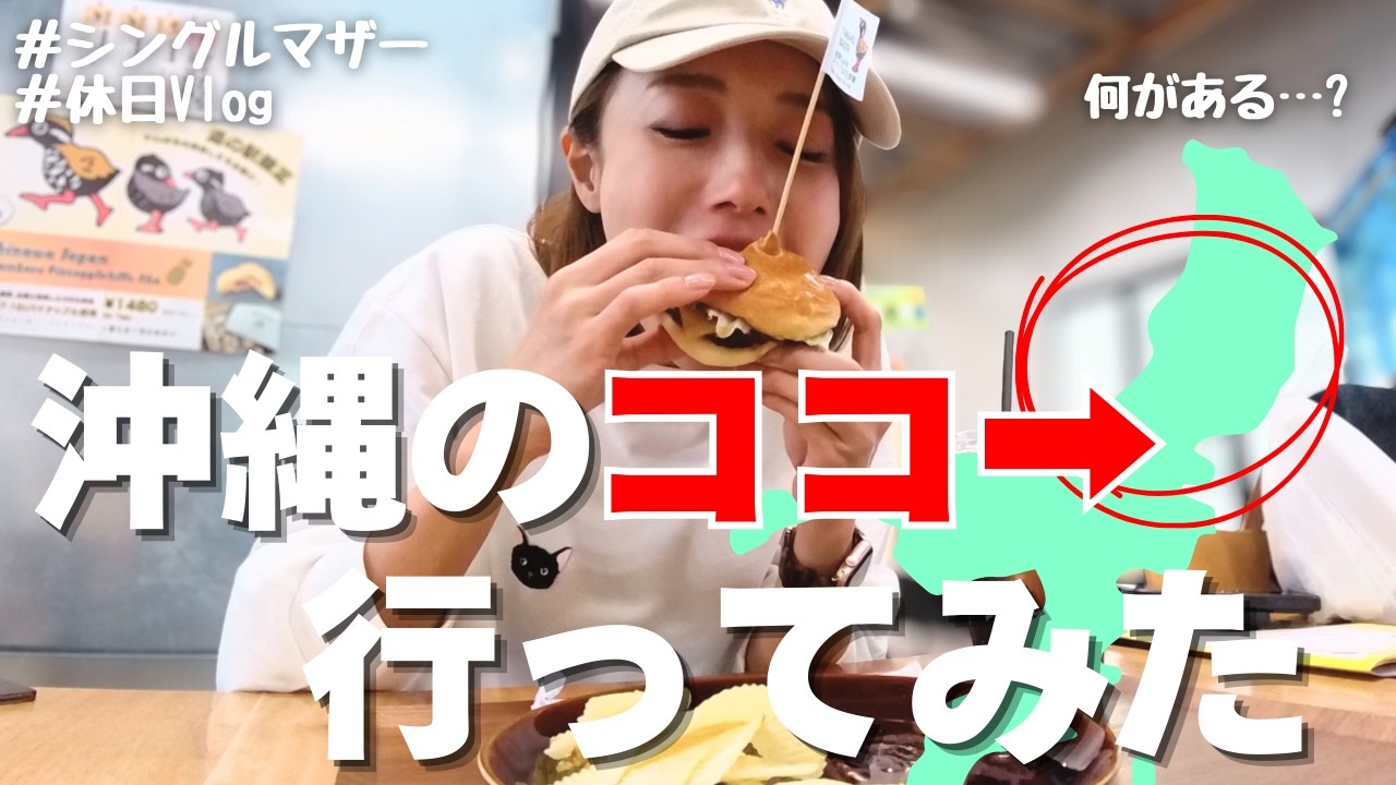 【沖縄移住】沖縄北部って何があるの？道の駅巡り・ヤンバルクイナ【シングルマザー】