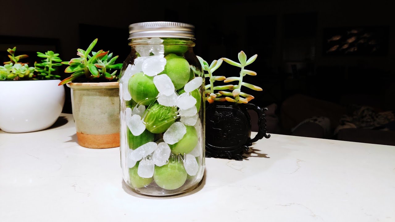 June for Ume plum syrup Sour and sweet! making from scratch