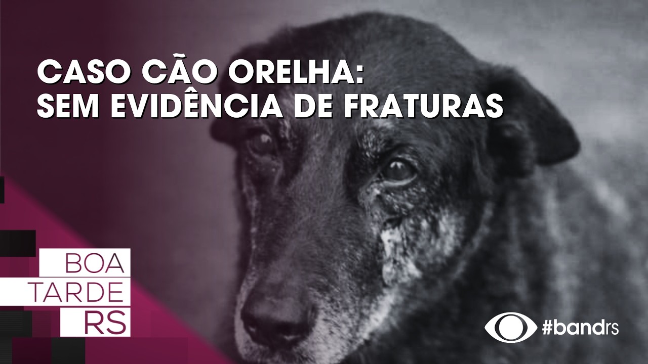 Caso cão Orelha: Sem evidência de fraturas