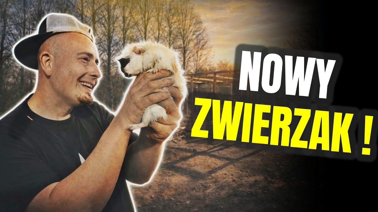 DOSTAŁEM NOWEGO ZWIERZAKA ! prace nad nową wolierą 🦆 odc. 861