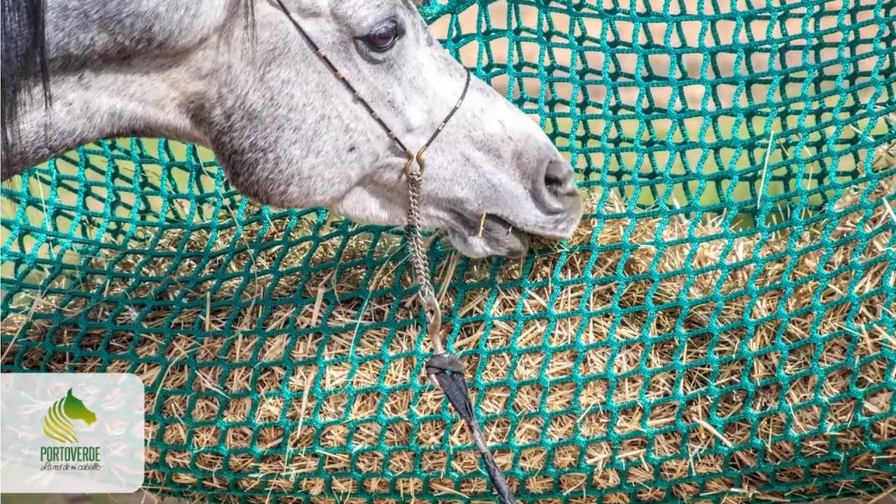 PRACTICA SLOW FEEDING PORTOVERDE - REDES HENO PARA CABALLO