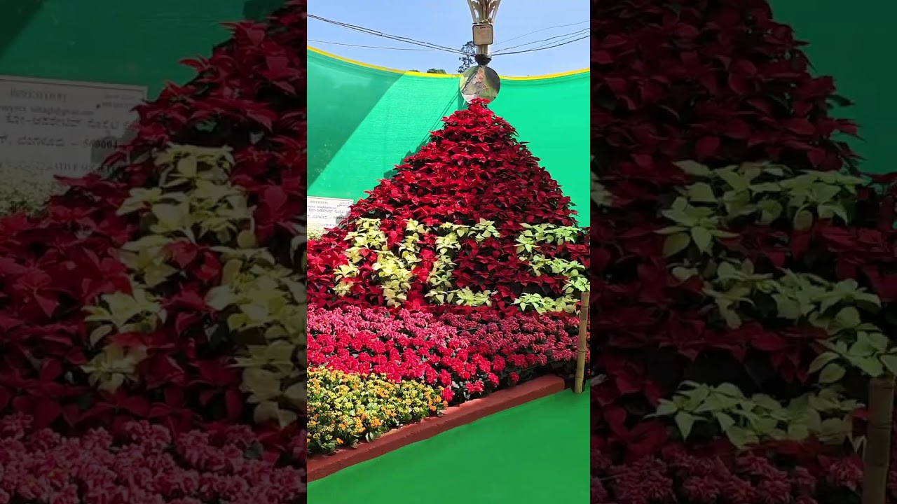 Lalbagh Flower Show 2026 Bangalore 🌸 Full Tour | Jan 14–27 | Complete Walkthrough