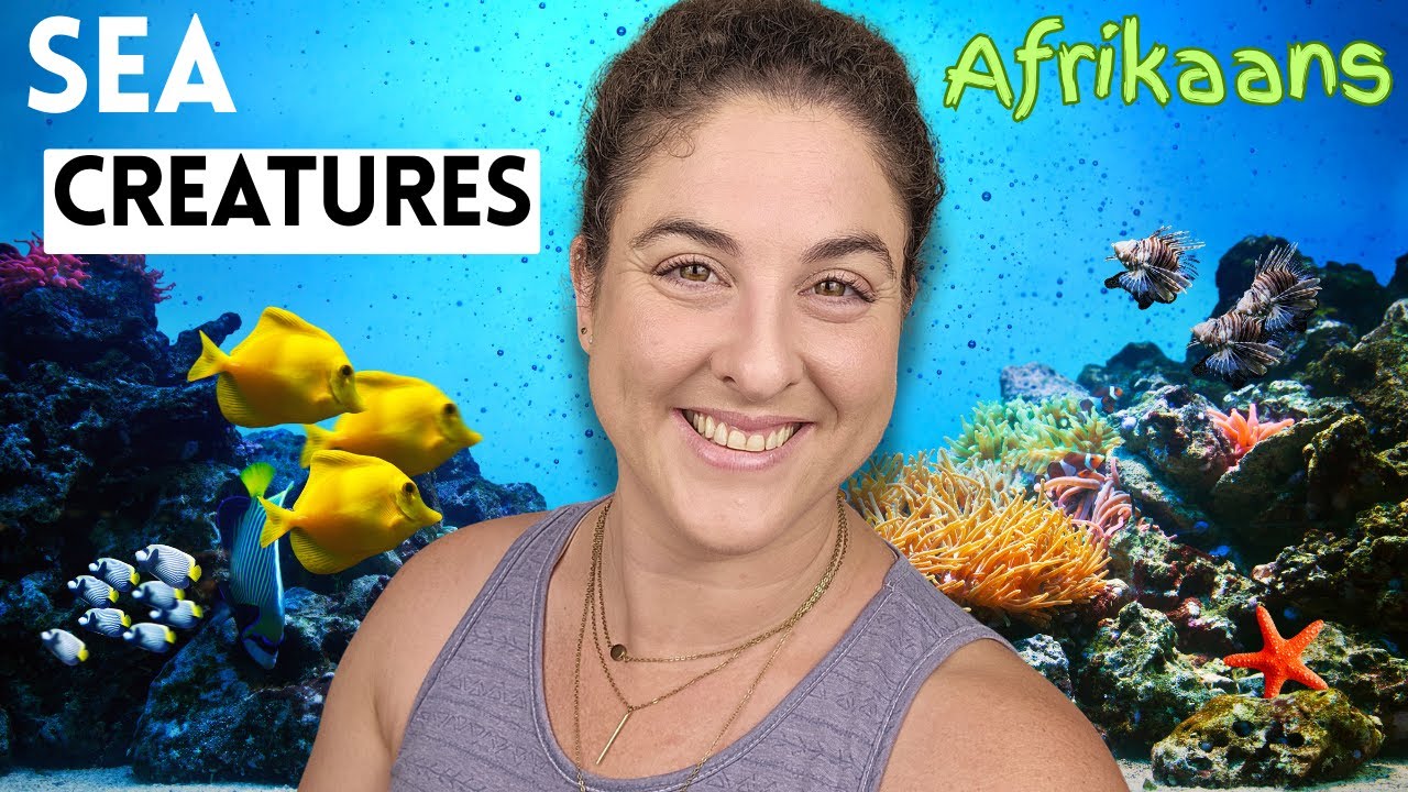 Name Sea Creatures in Afrikaans