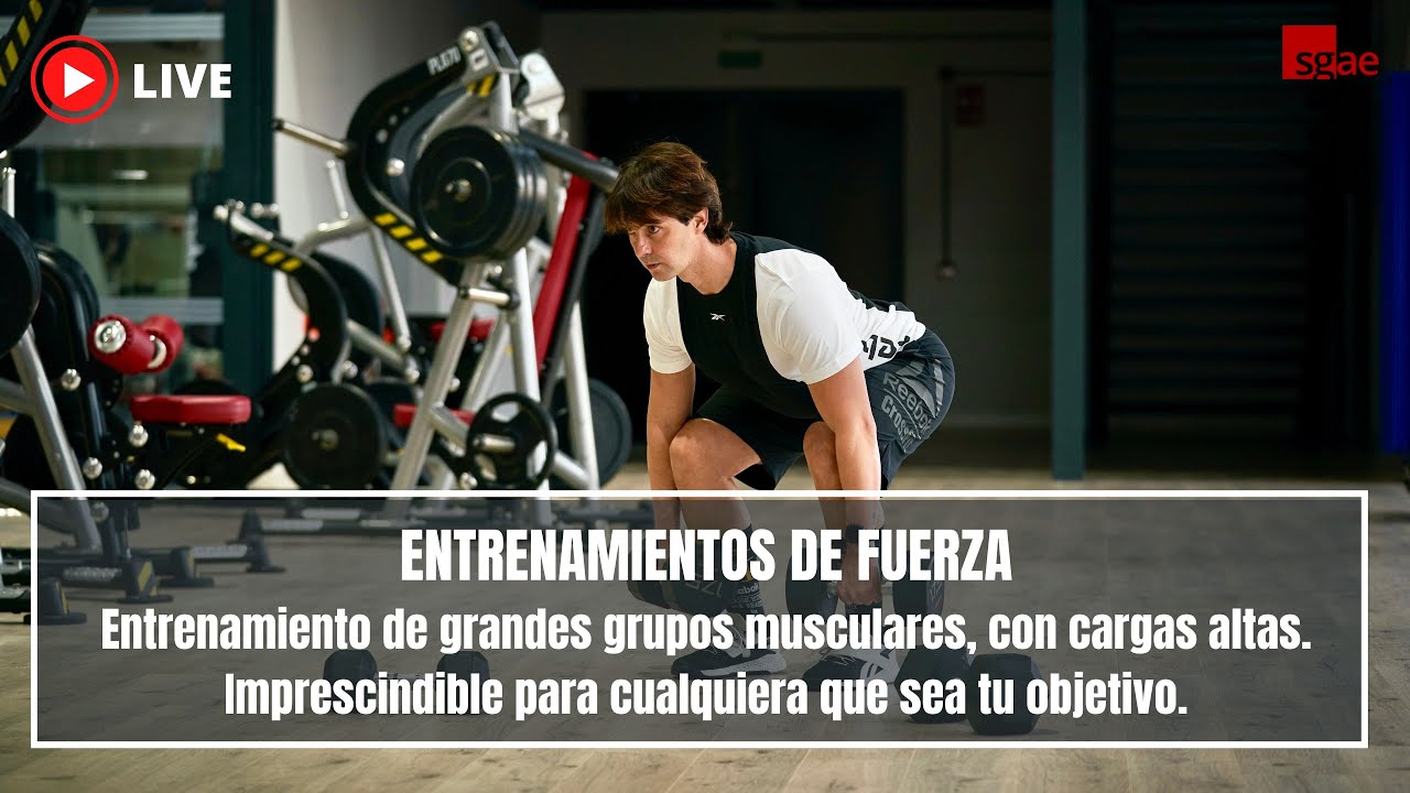 Fuerza en KY-FIT.LIVE