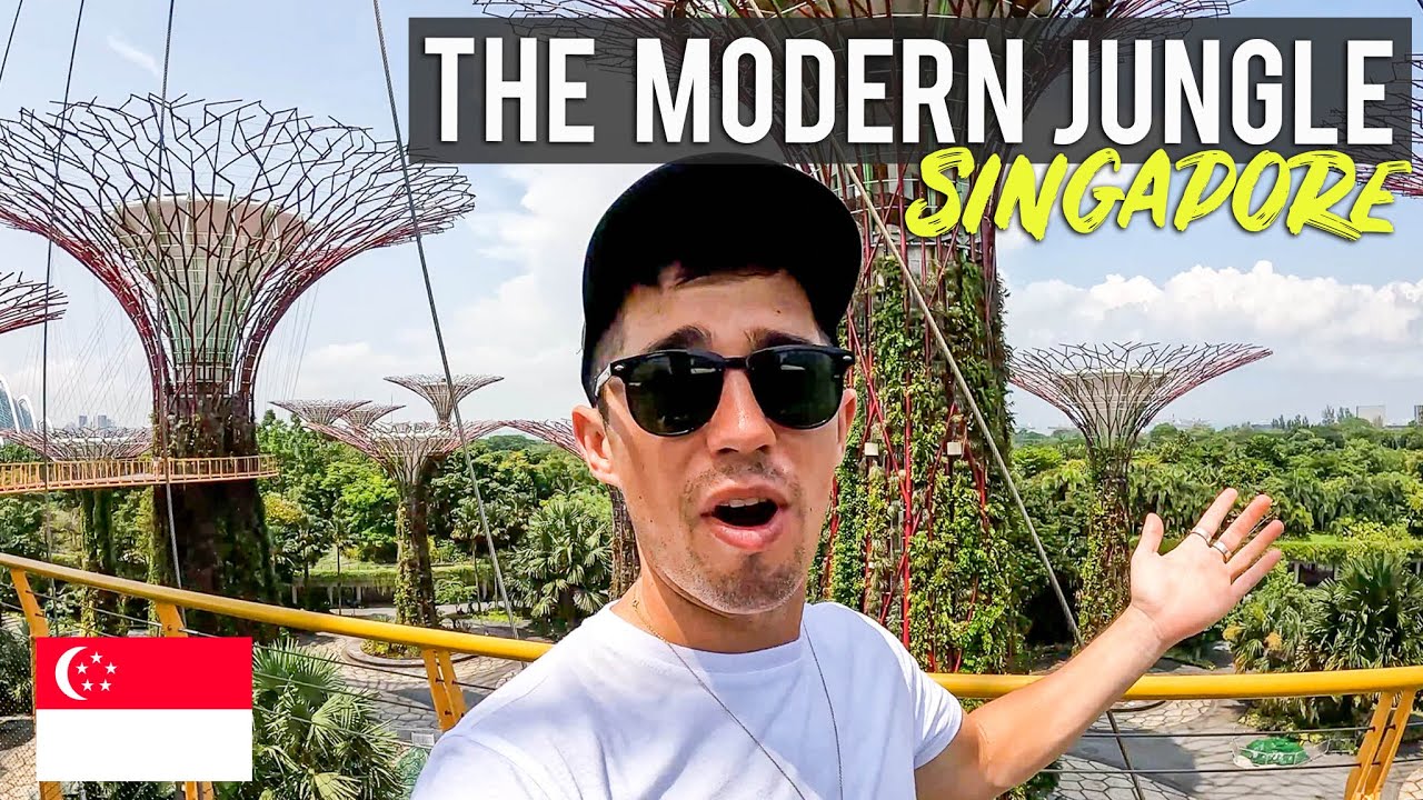 Первые впечатления о Сингапуре 🇸🇬