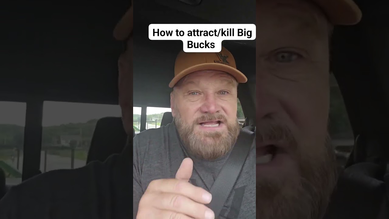 How to attract Big Bucks