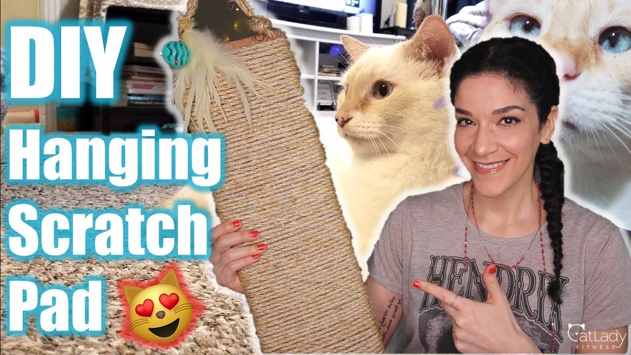 DIY NO COST Door Hanging Scratch Pad for cats!! 🙀😻 Is it Puppy & Alfred approved?