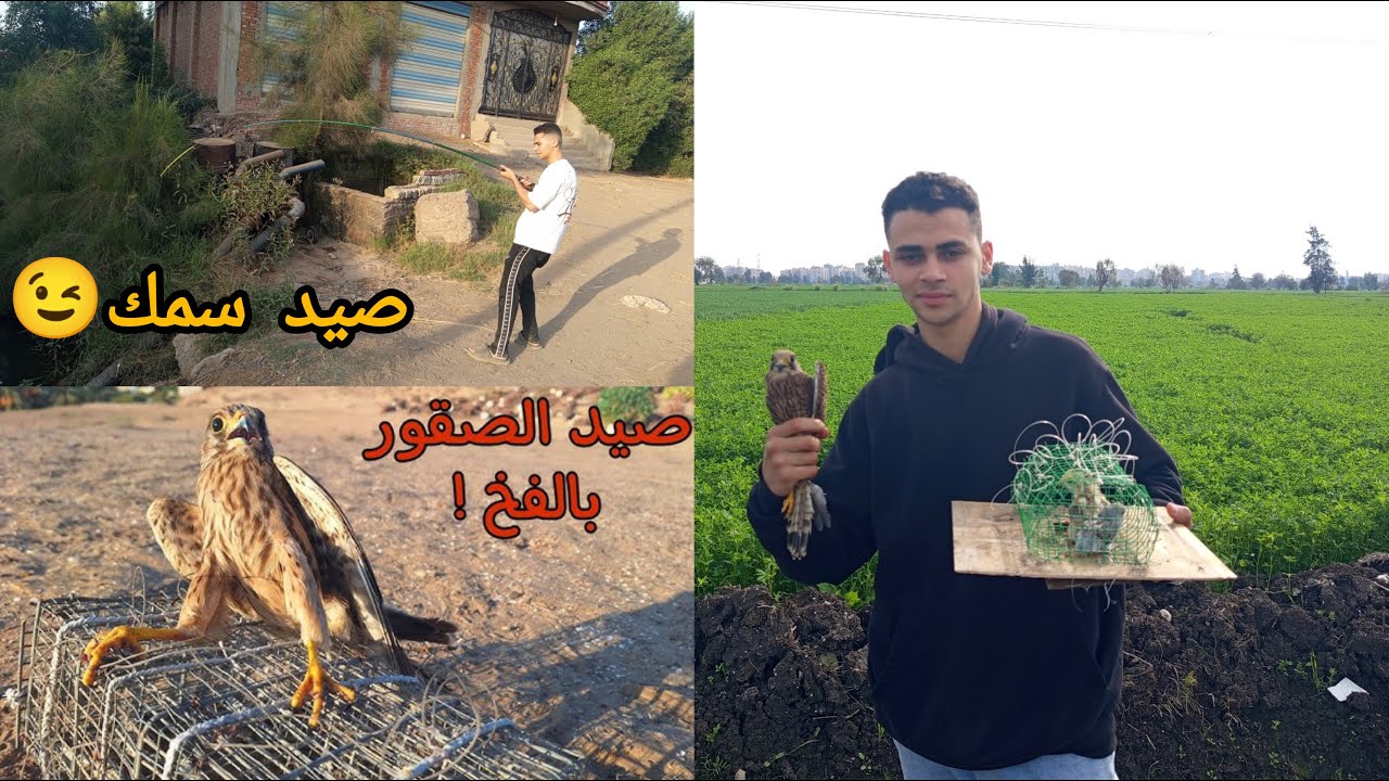 رحلة صيد صقور وسمك ل اول مره رحله متتعوضش part1🔥🔥